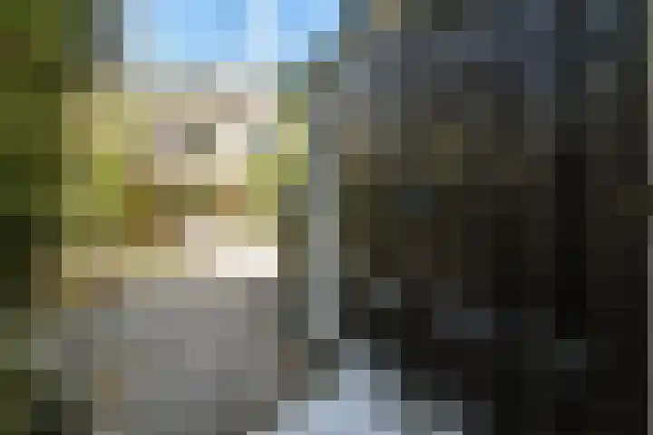 Anne de Vrieslaan 23 Amstelveen thumbnail 11