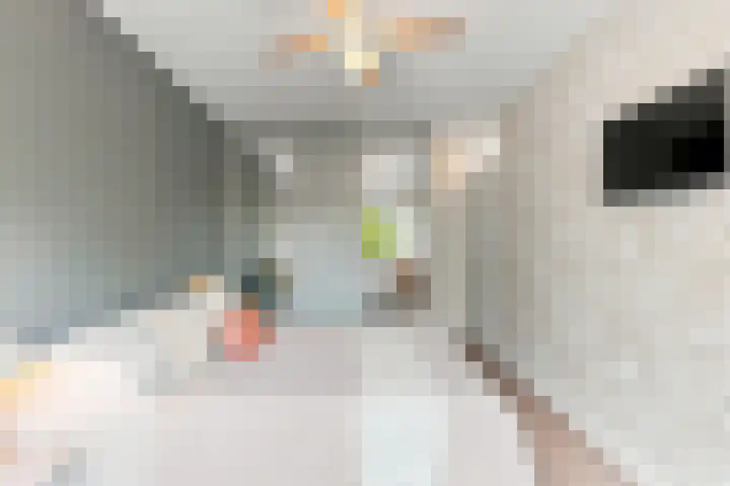 Anne de Vrieslaan 51 Amstelveen thumbnail 23