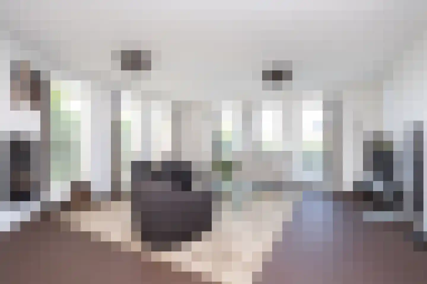 Anne de Vriessingel 31 Berkel en Rodenrijs thumbnail 10