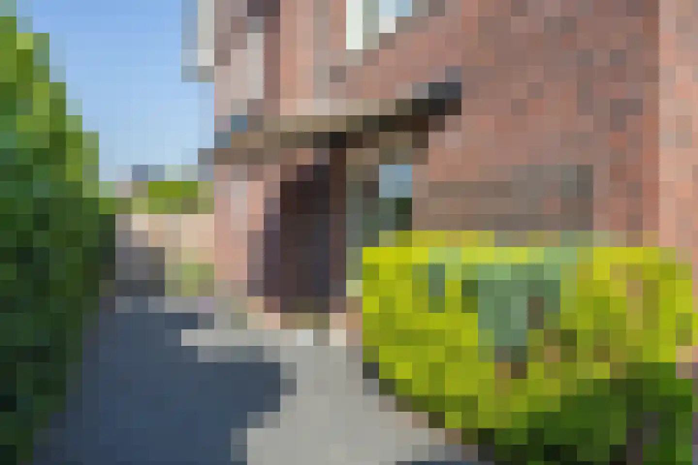 Anne de Vriessingel 31 Berkel en Rodenrijs thumbnail 60