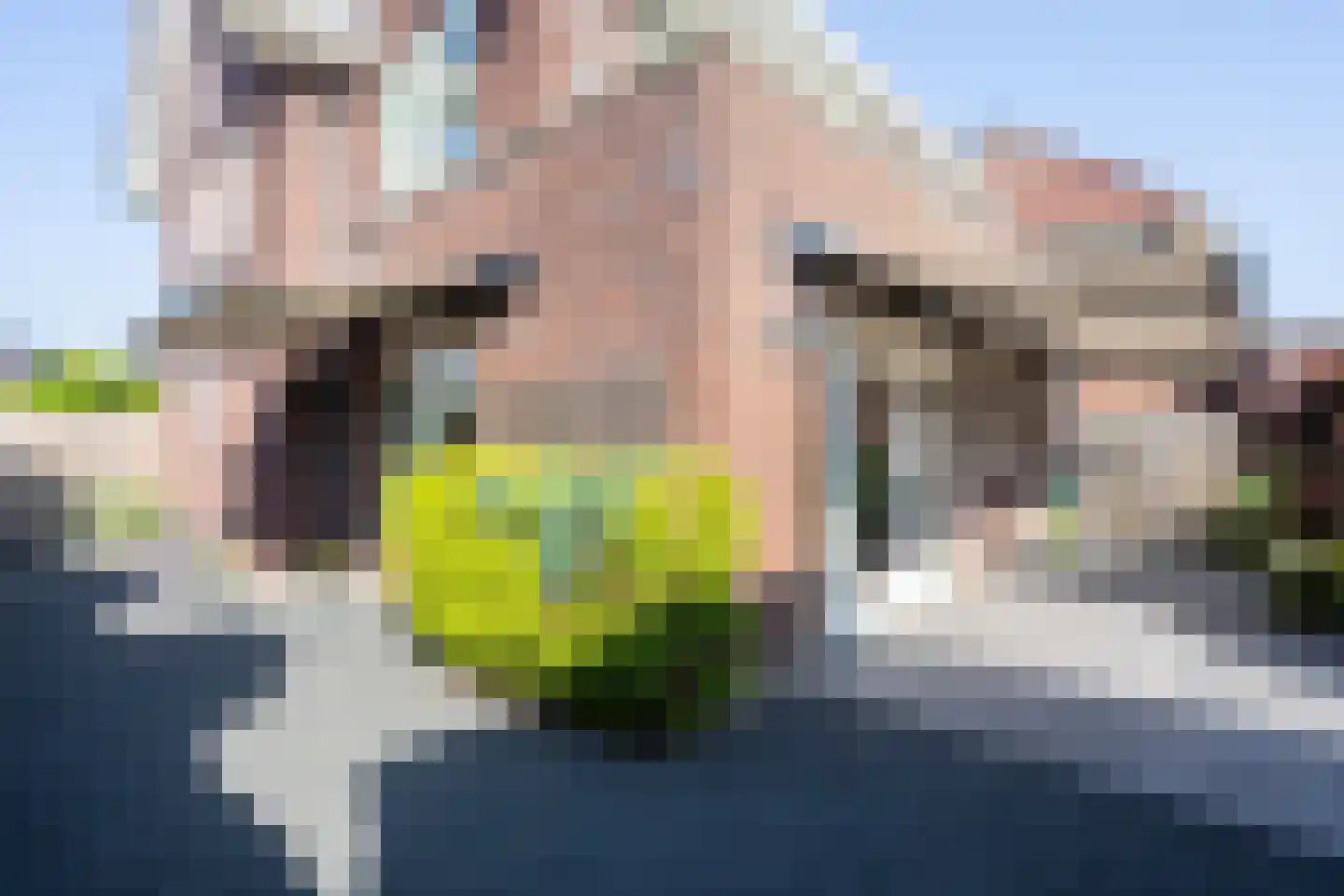 Anne de Vriessingel 31 Berkel en Rodenrijs thumbnail 61