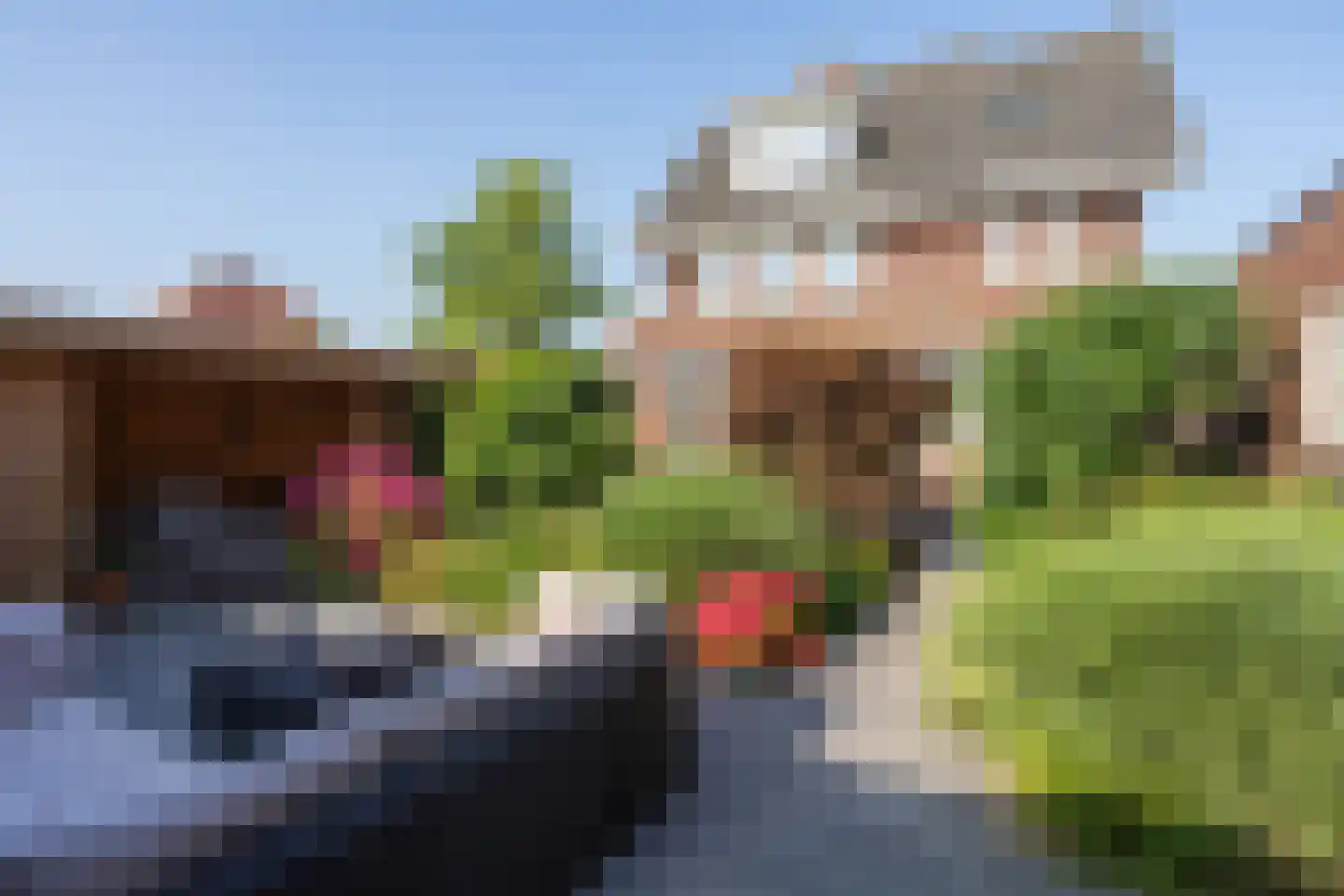 Anne de Vriessingel 31 Berkel en Rodenrijs thumbnail 62