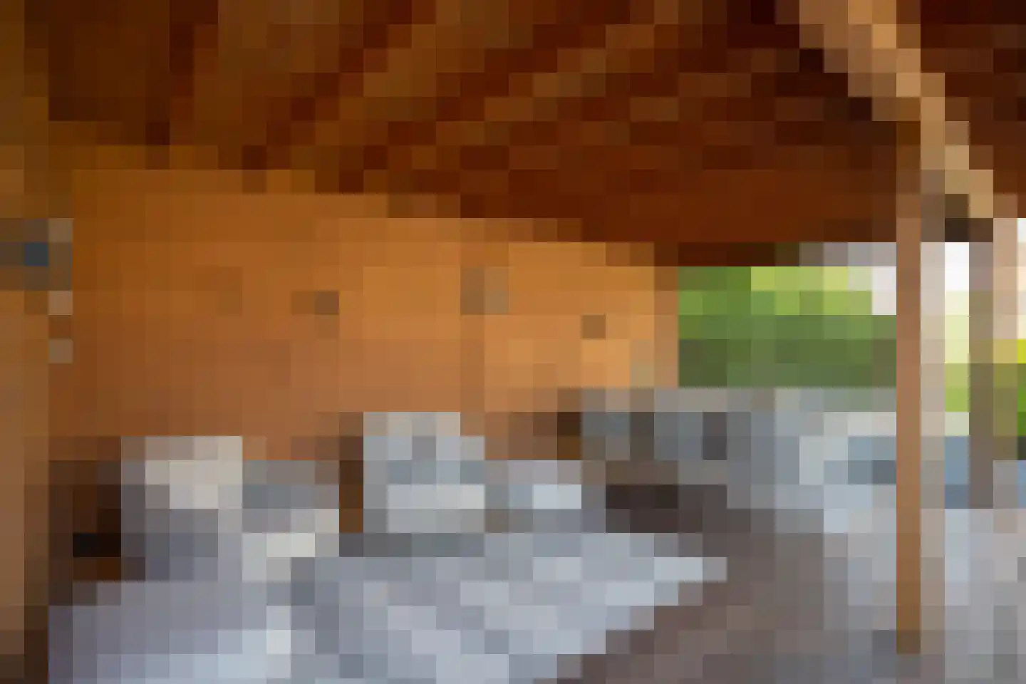 Anne de Vriessingel 31 Berkel en Rodenrijs thumbnail 64