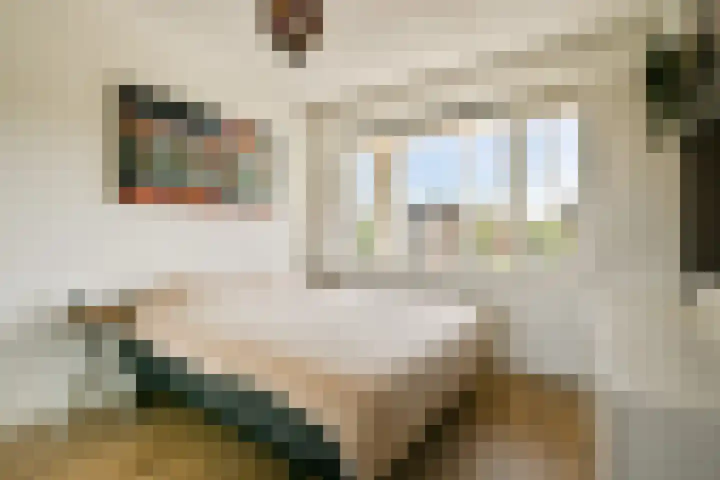 Anne Frankhove 110 Sassenheim thumbnail 19