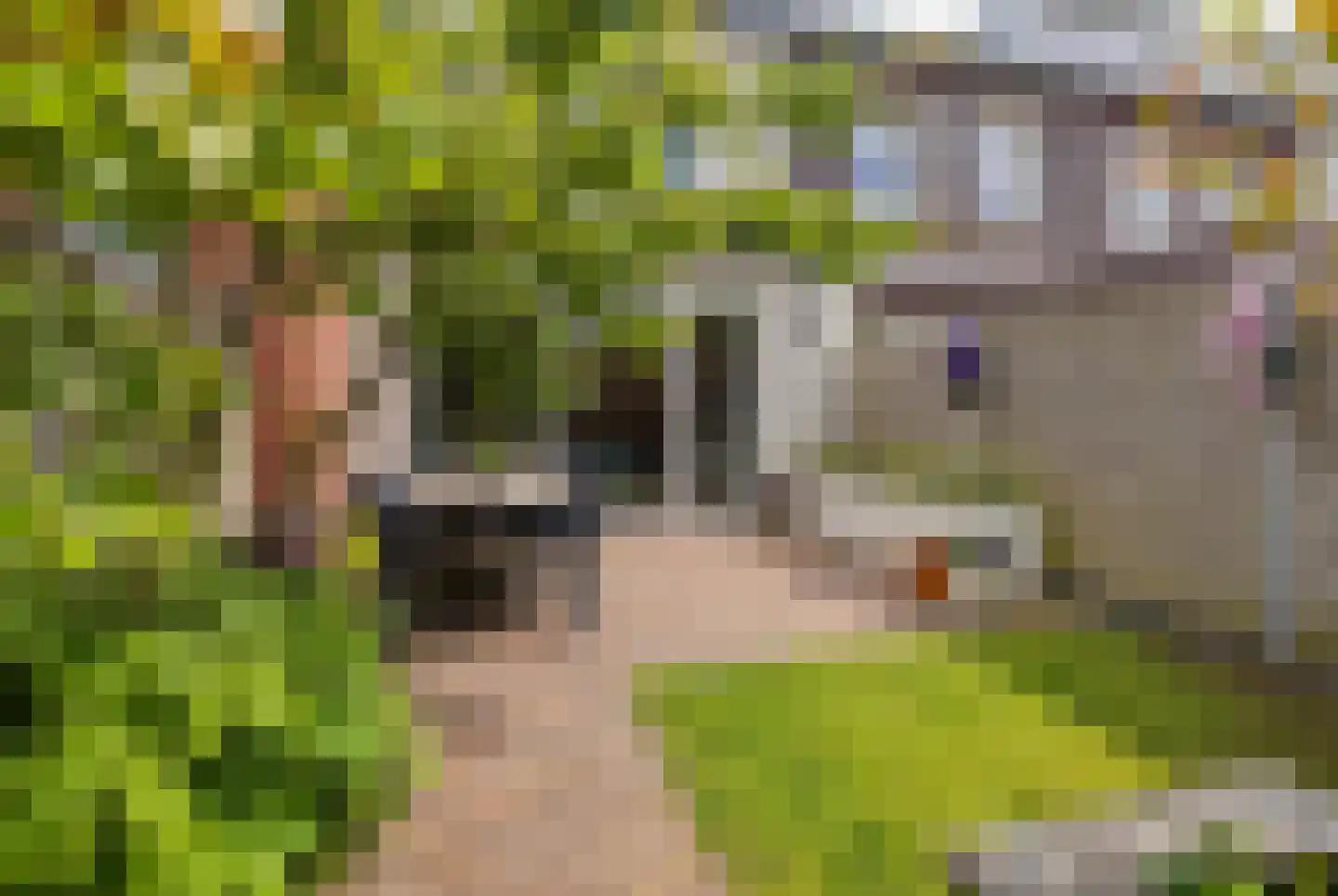 Anne Frankhove 14 Sassenheim thumbnail 33