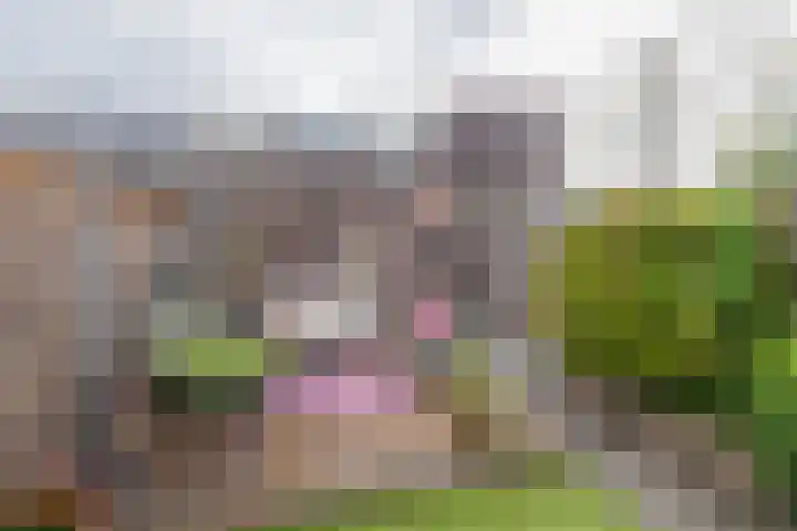 Anne Frankhove 28 Sassenheim thumbnail 18