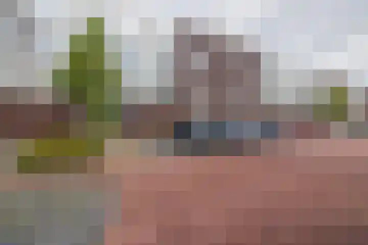 Anne Frankhove 28 Sassenheim thumbnail 43