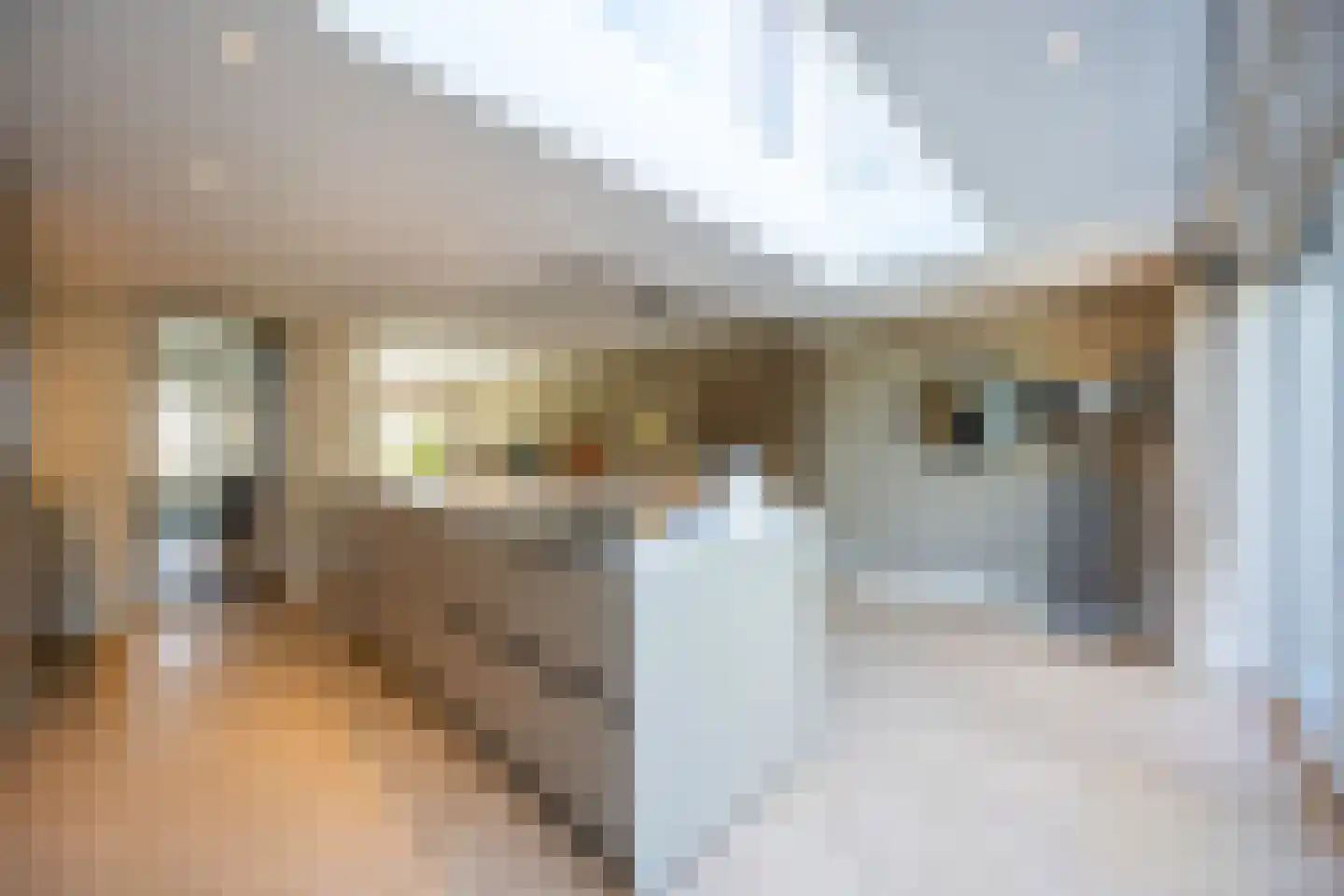 Anne Franklaan 10 Bussum thumbnail 9