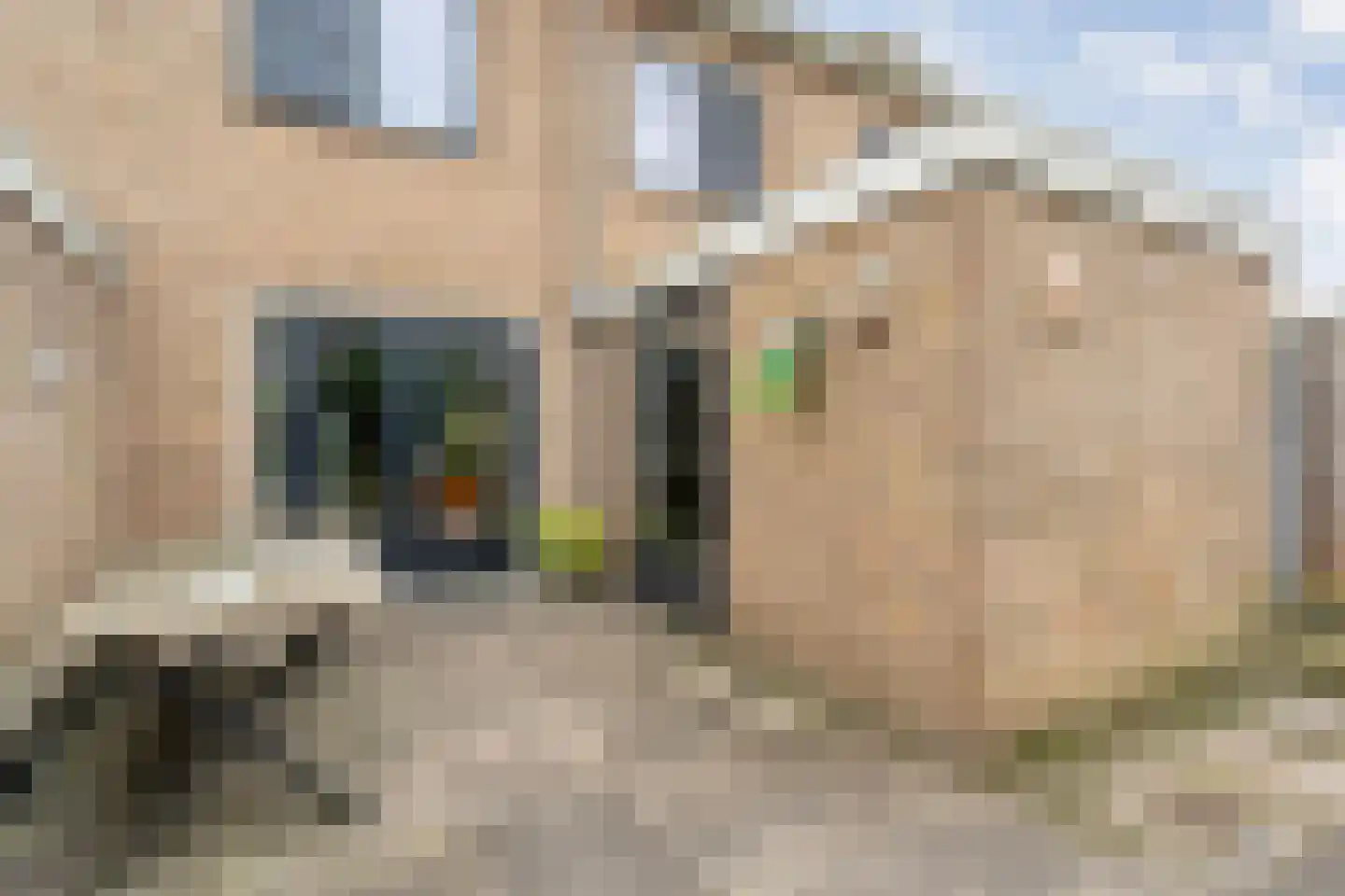 Anne Franklaan 10 Coevorden thumbnail 41