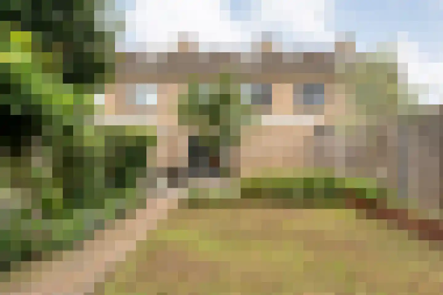 Anne Franklaan 10 Coevorden thumbnail 45