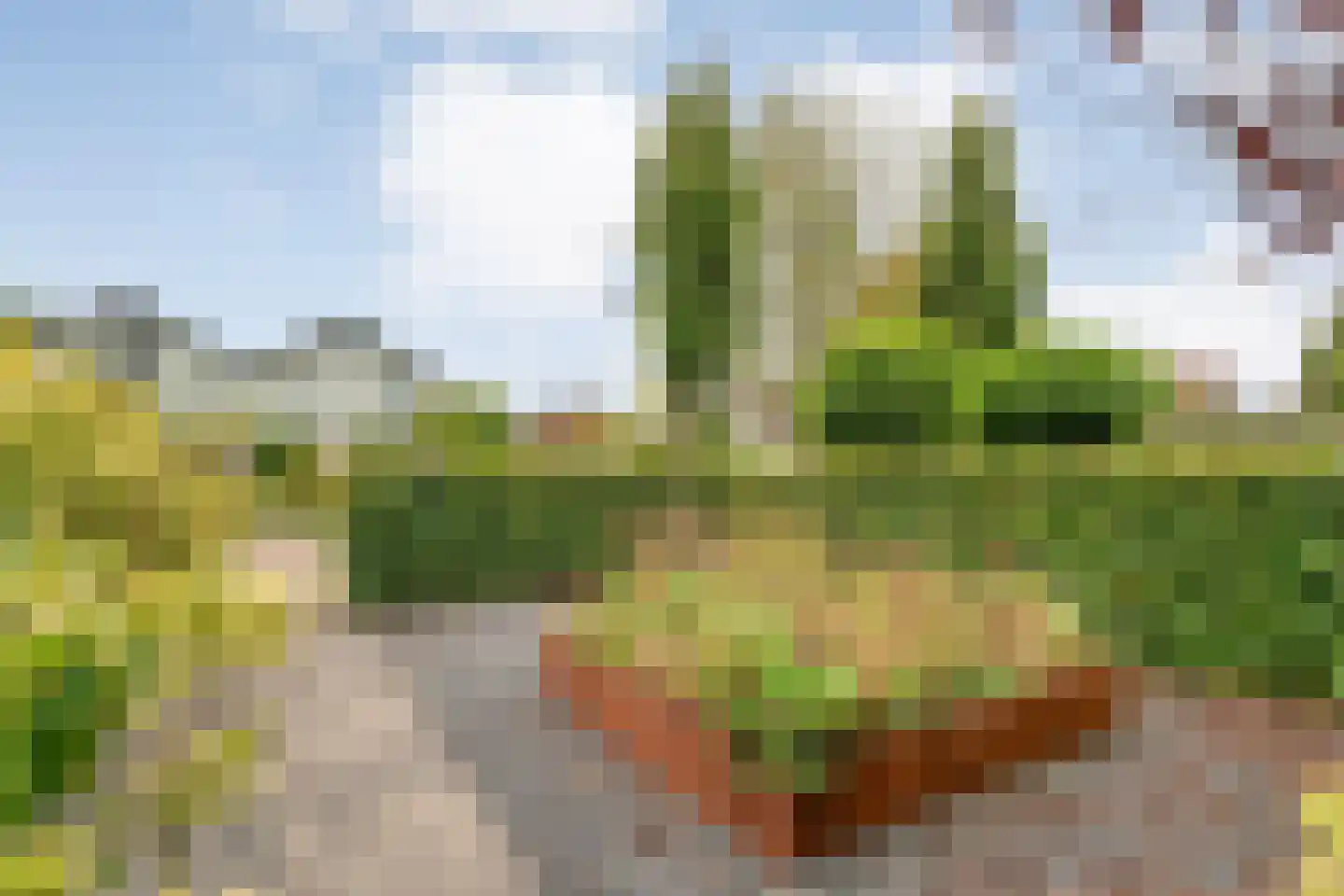 Anne Franklaan 10 Coevorden thumbnail 5
