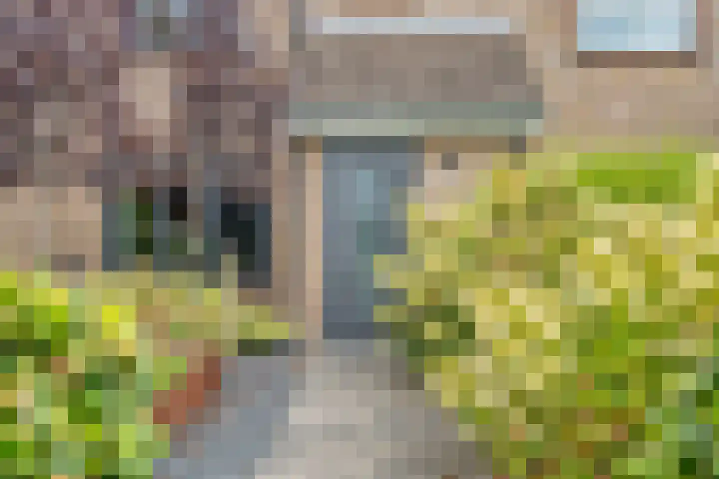 Anne Franklaan 10 Coevorden thumbnail 6
