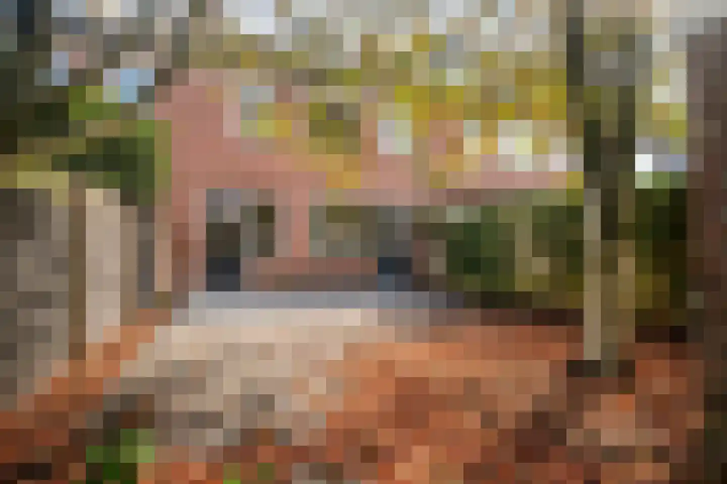 Anne Franklaan 106 Bussum thumbnail 31