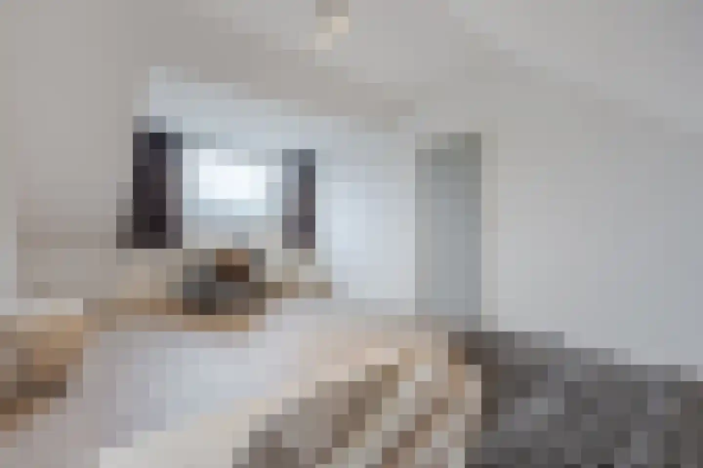 Anne Franklaan 11 Uithoorn thumbnail 18
