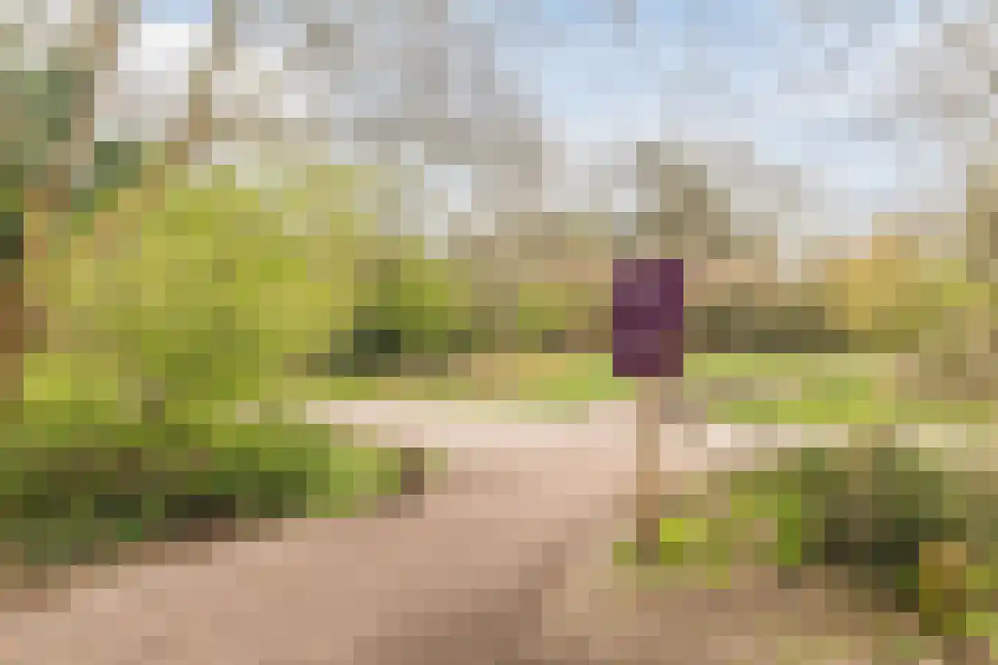 Anne Franklaan 126 Bussum thumbnail 33