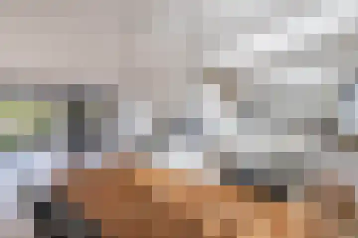 Anne Franklaan 14 Huizen thumbnail 15