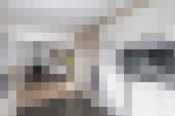 Anne Franklaan 14 Huizen thumbnail 18