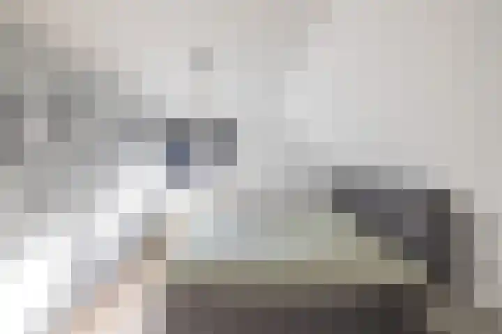 Anne Franklaan 14 Huizen thumbnail 29