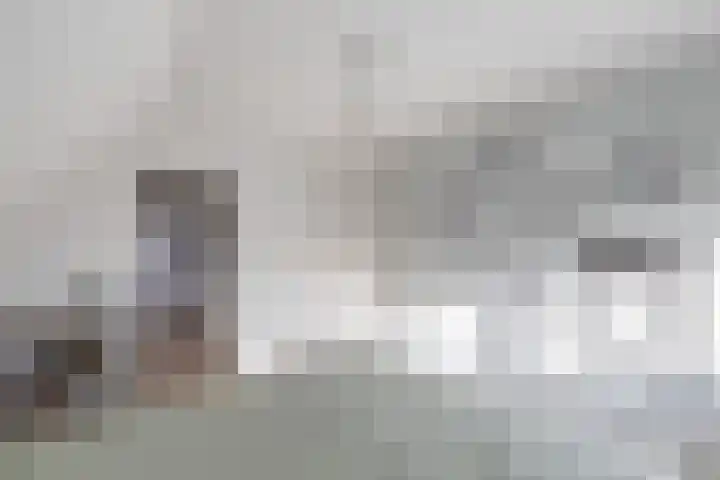 Anne Franklaan 14 Huizen thumbnail 30