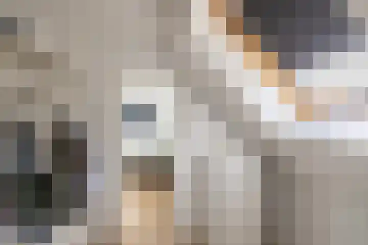 Anne Franklaan 14 Huizen thumbnail 31