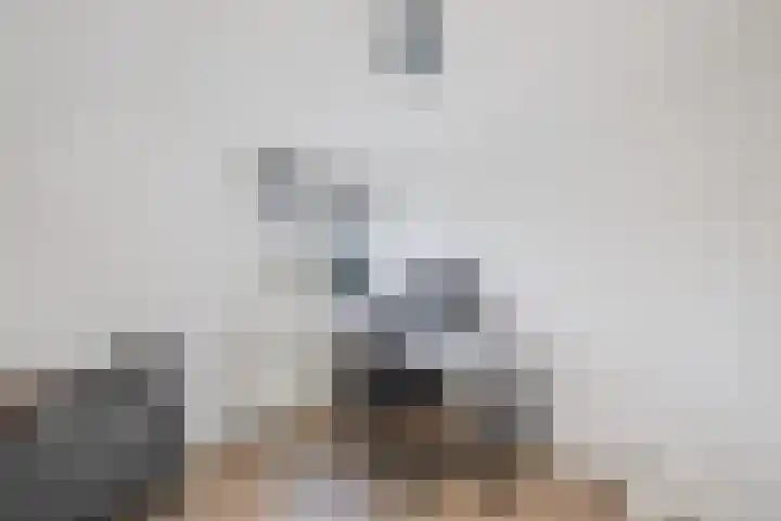 Anne Franklaan 14 Huizen thumbnail 33