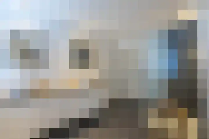Anne Franklaan 14 Huizen thumbnail 35
