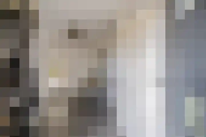 Anne Franklaan 14 Huizen thumbnail 6
