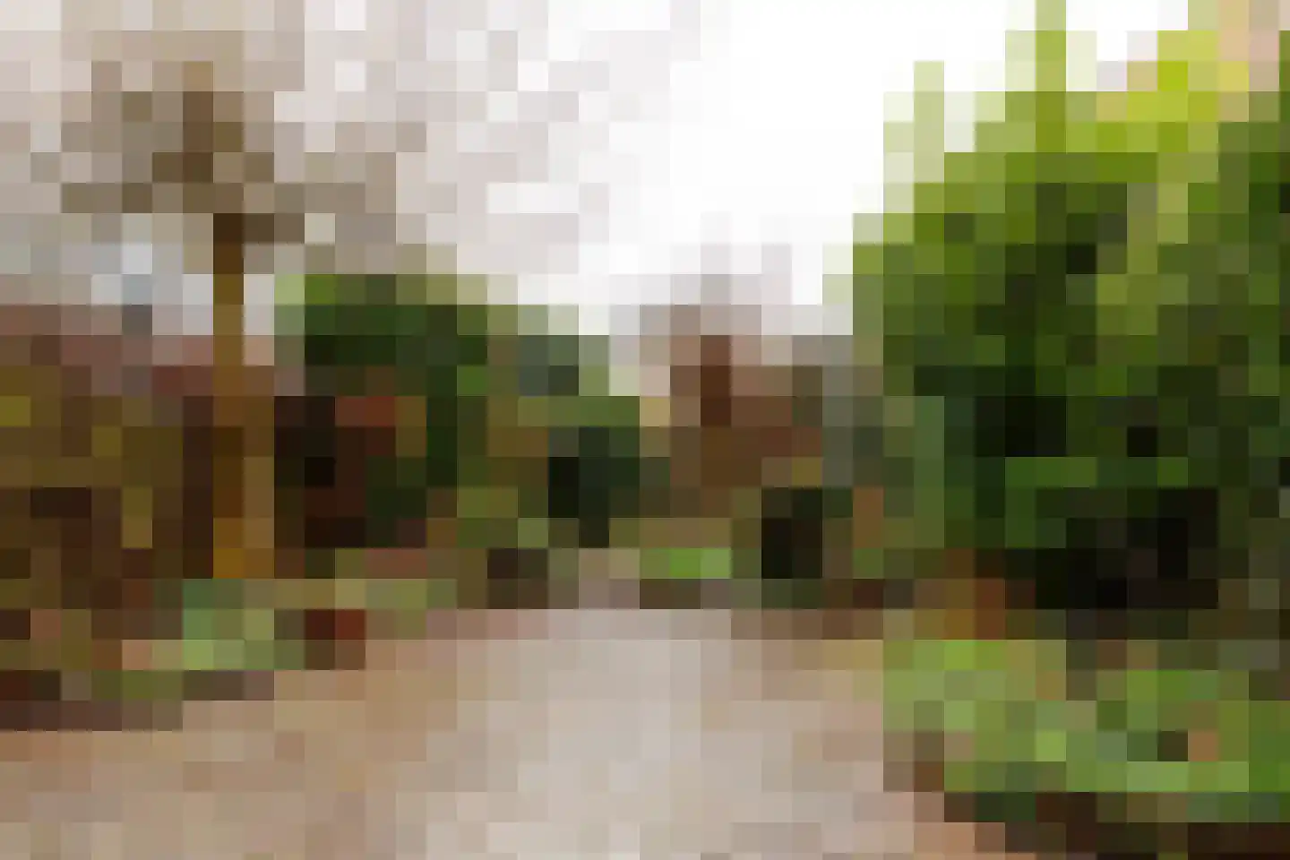 Anne Franklaan 146 Bussum thumbnail 6