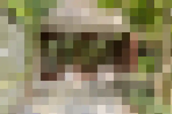 Anne Franklaan 197 Bussum thumbnail 37