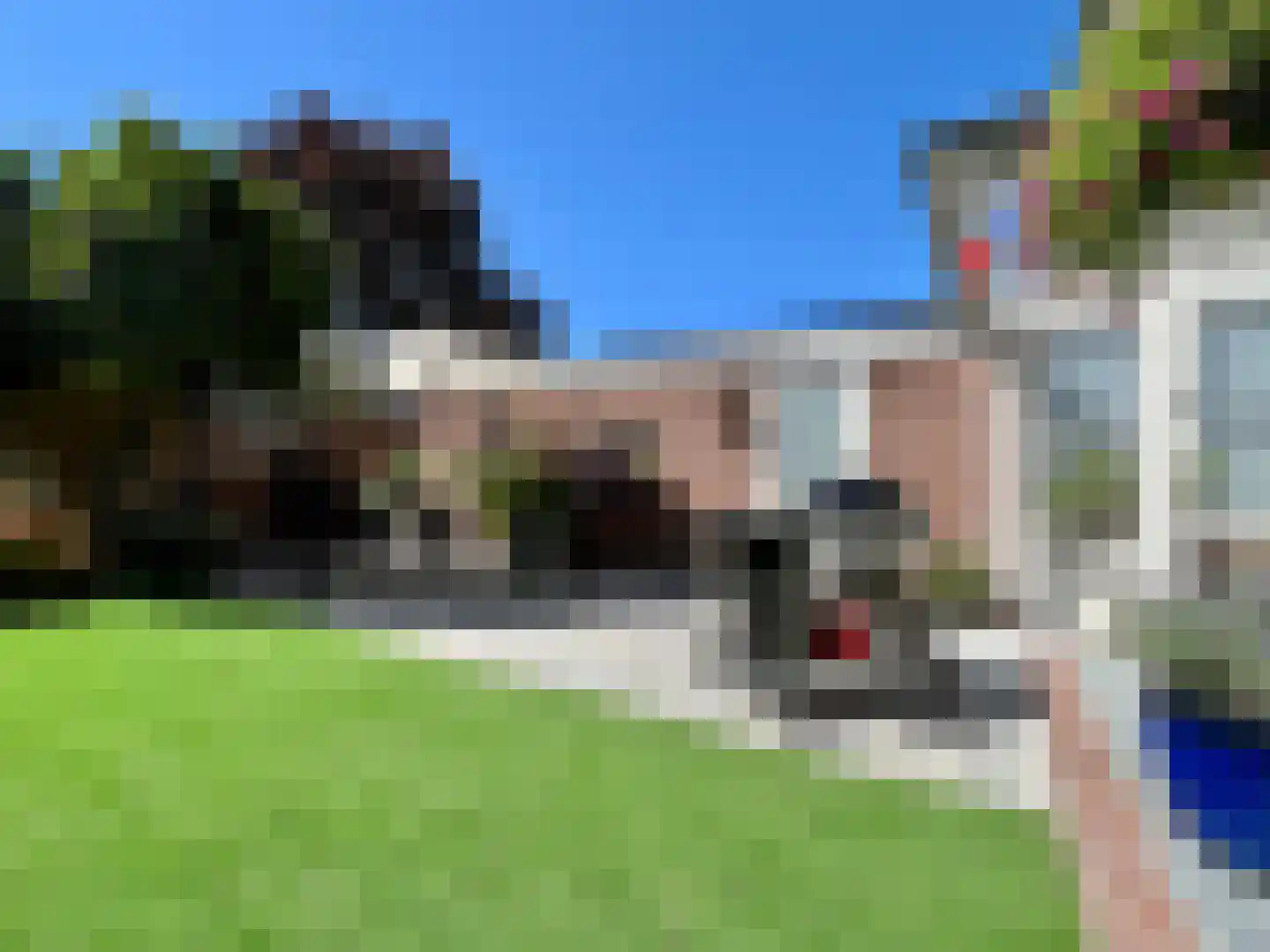 Anne Franklaan 2 Montfoort thumbnail 21