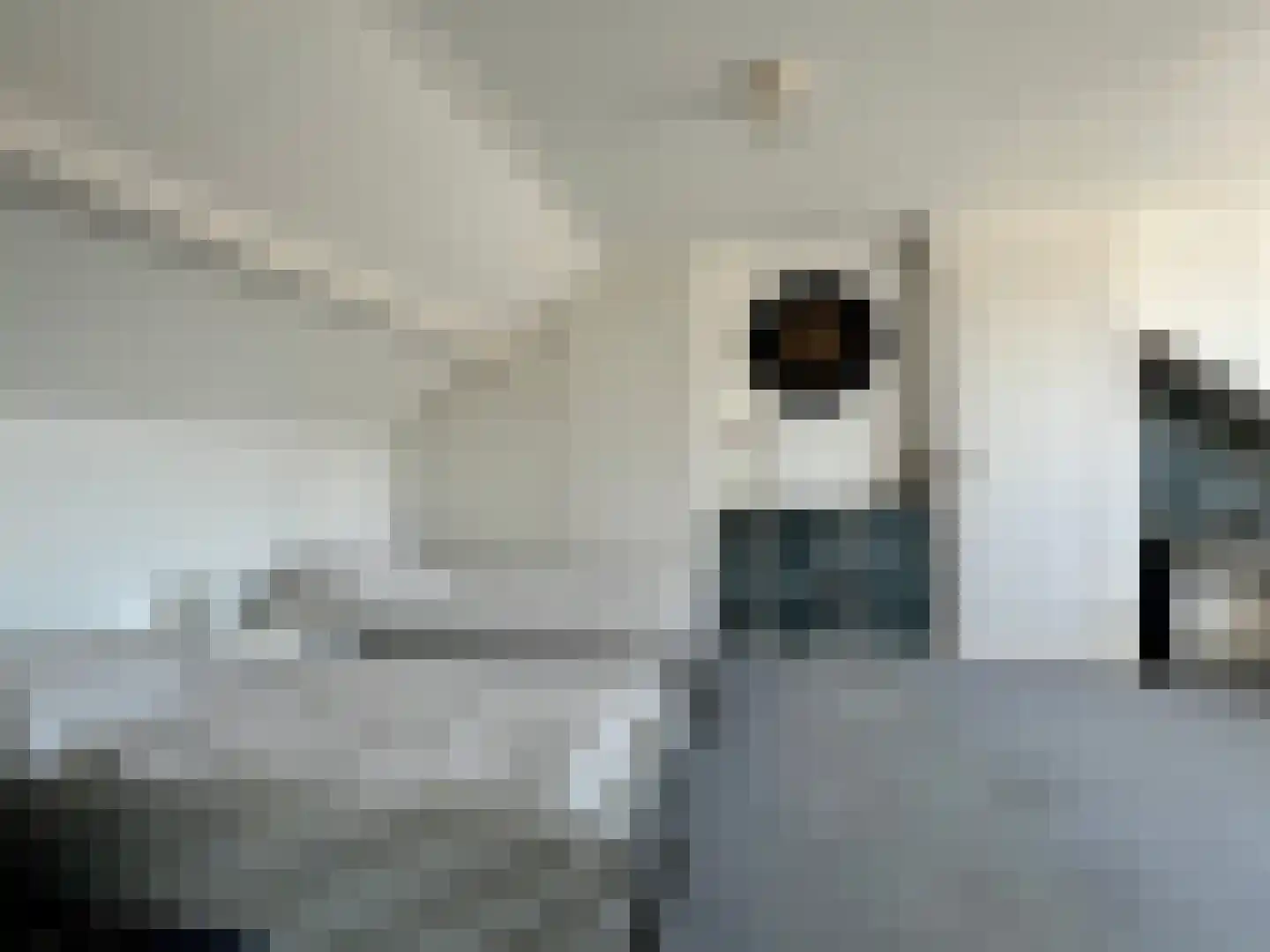 Anne Franklaan 2 Montfoort thumbnail 37