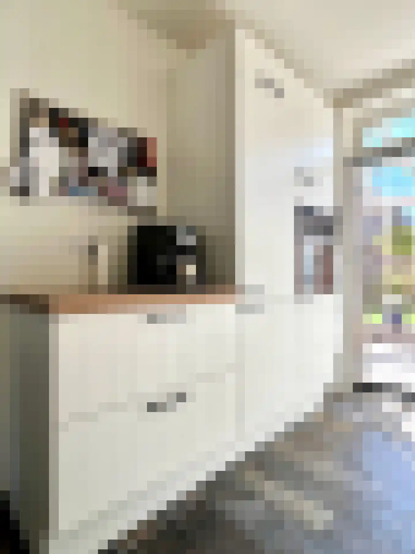 Anne Franklaan 2 Montfoort thumbnail 9