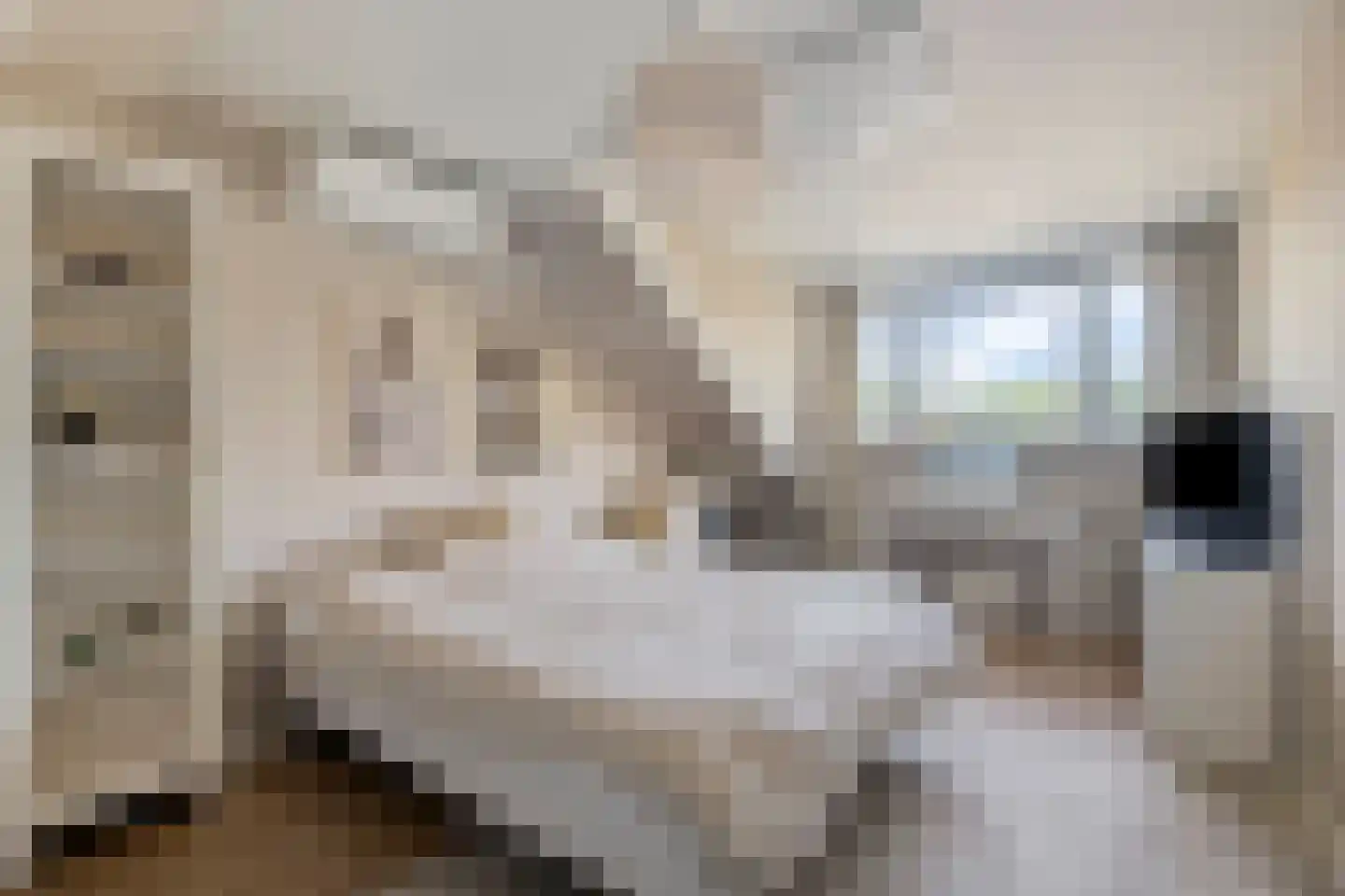 Anne Franklaan 23 Deventer thumbnail 37