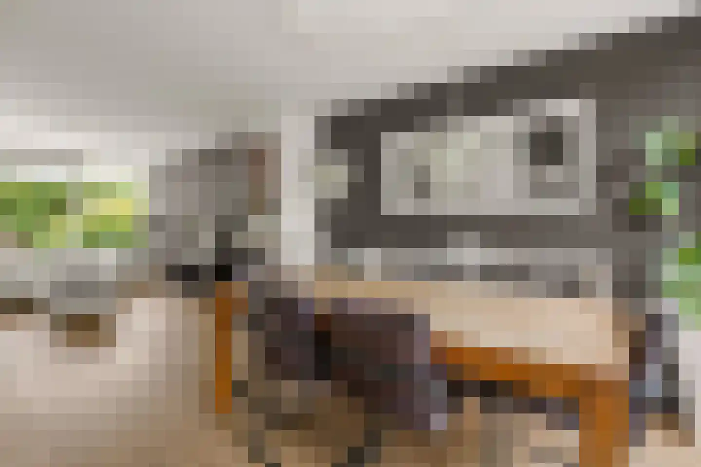 Anne Franklaan 30 Bilthoven thumbnail 10
