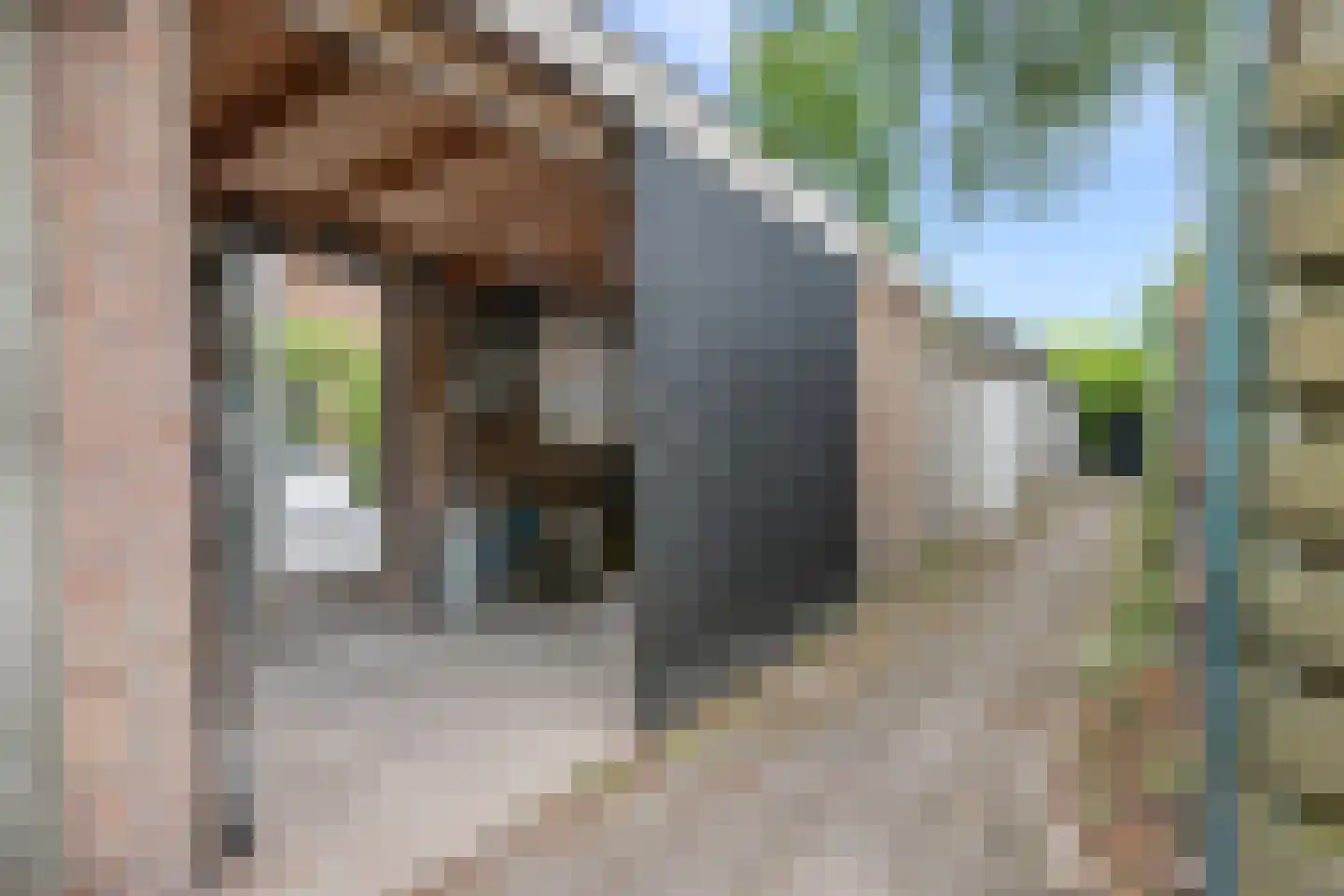 Anne Franklaan 30 Bilthoven thumbnail 29