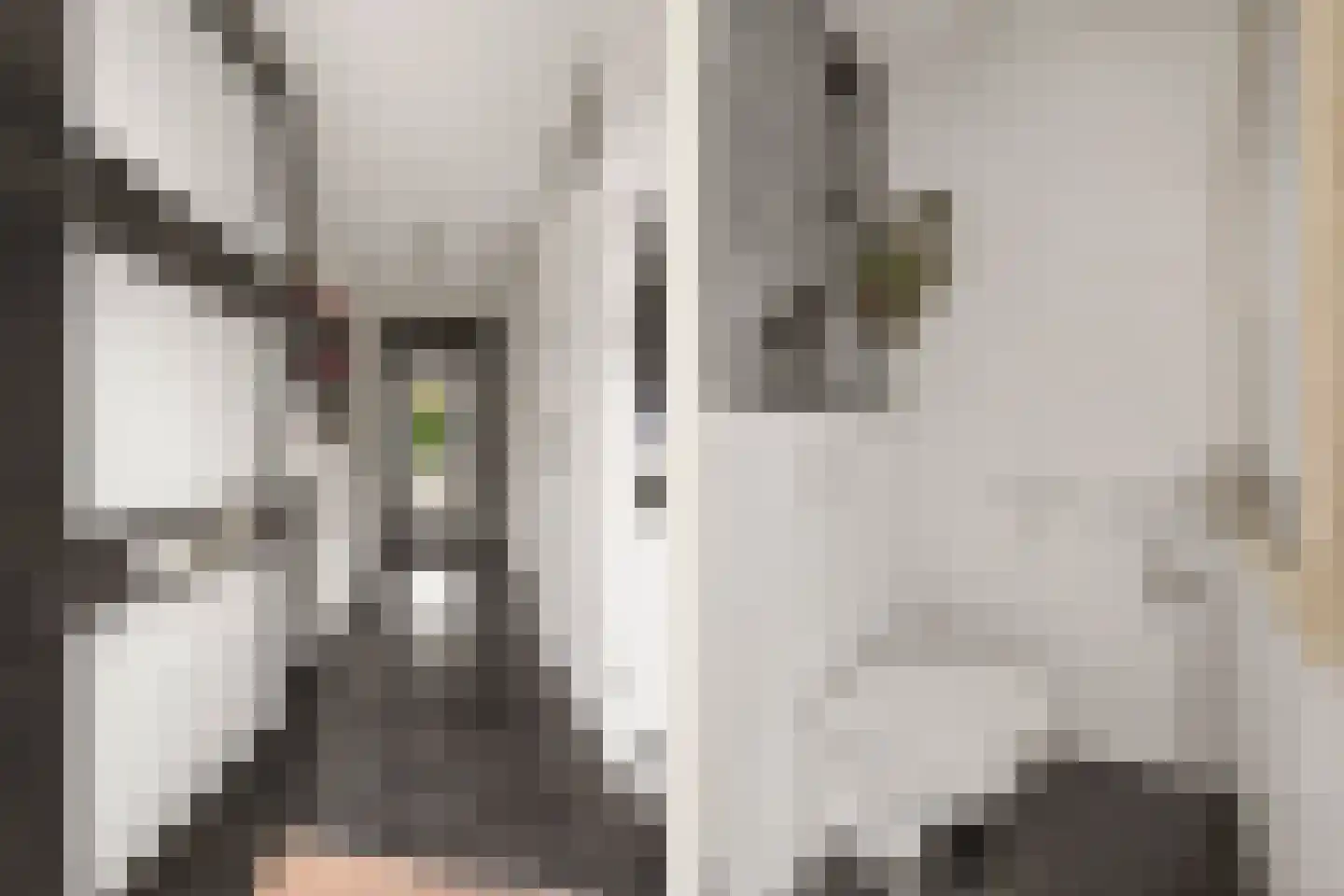 Anne Franklaan 30 Bilthoven thumbnail 4