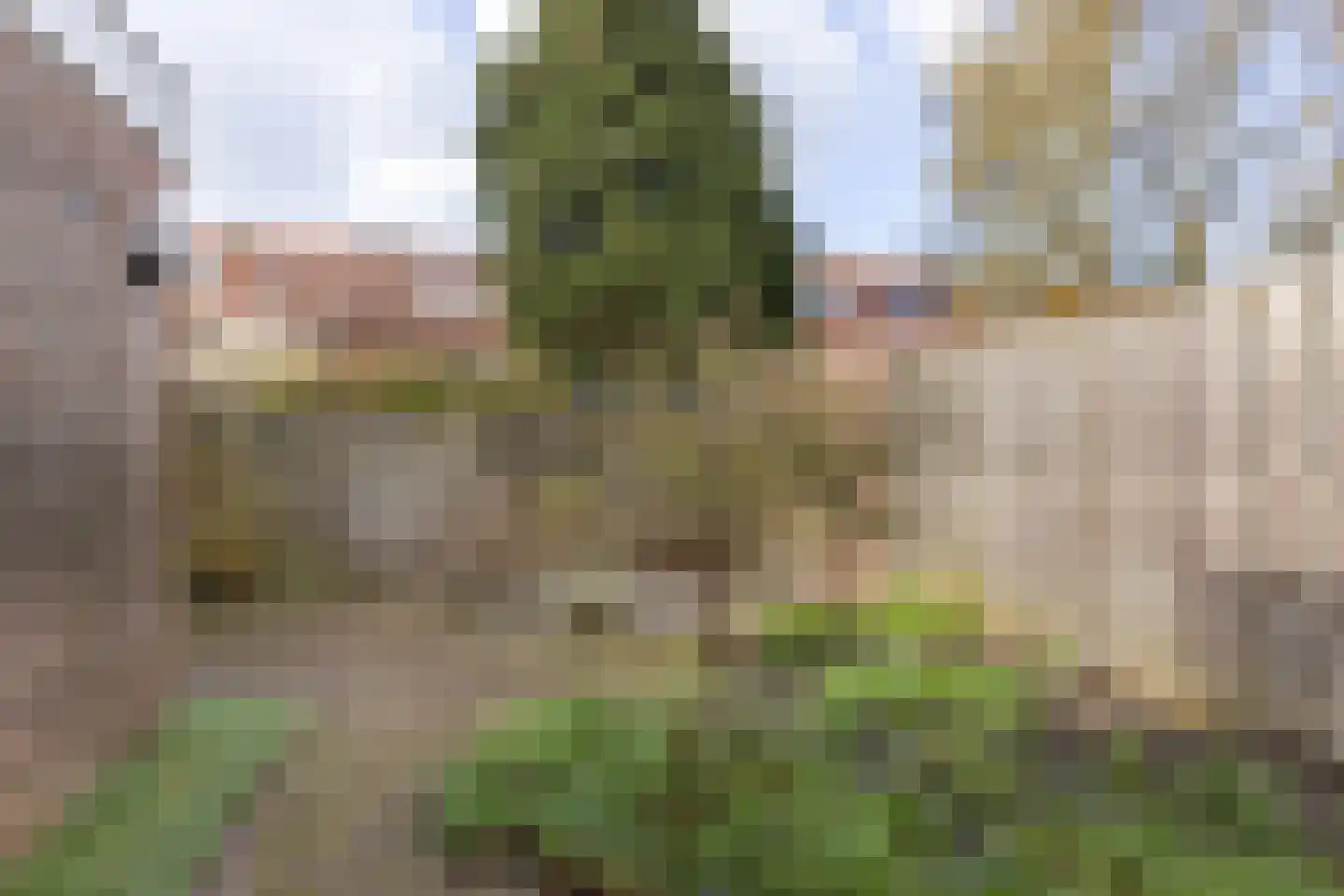 Anne Franklaan 31 Bilthoven thumbnail 31
