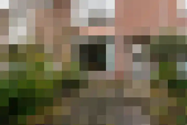 Anne Franklaan 501 Purmerend thumbnail 30