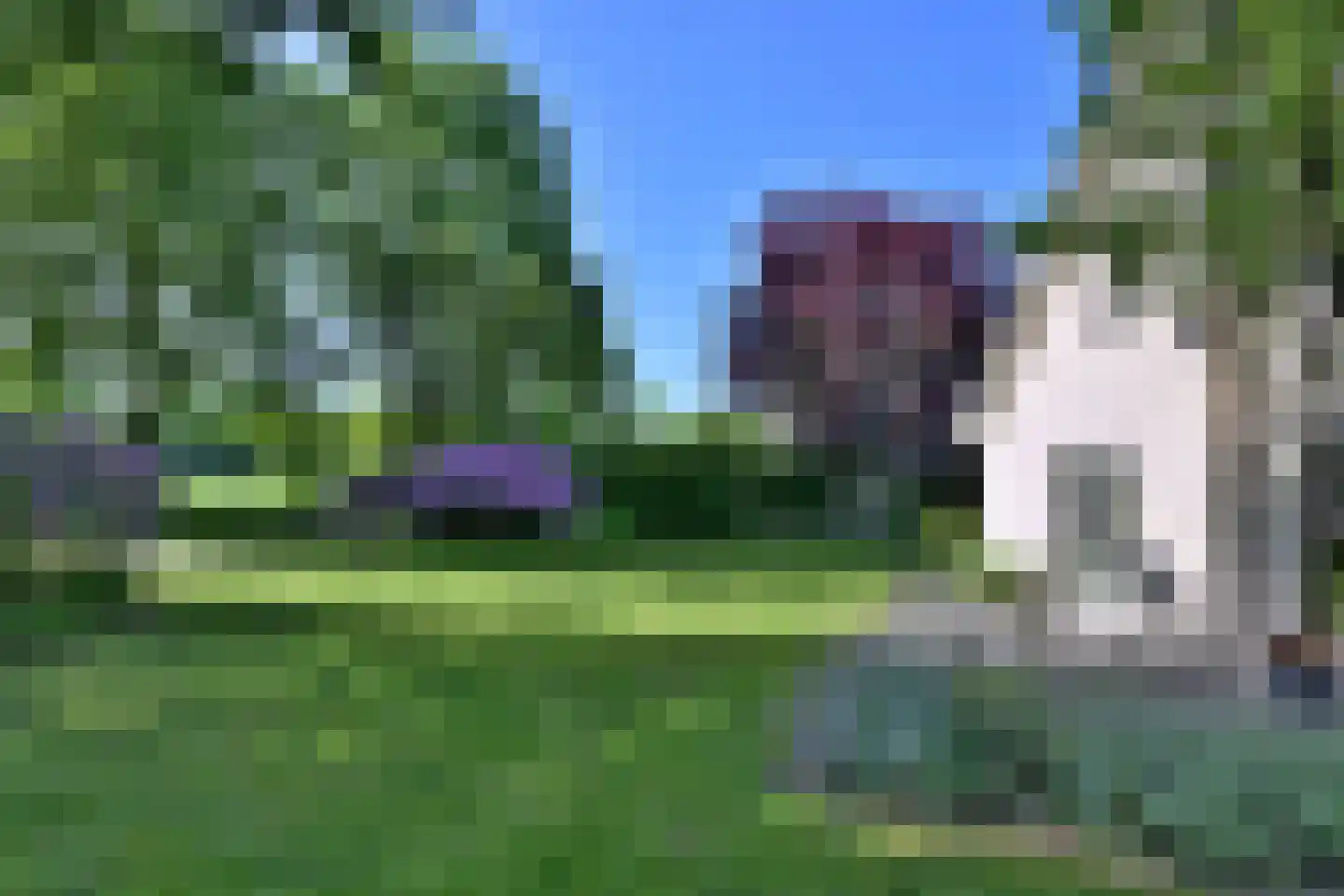 Anne Franklaan 76 Deventer thumbnail 33