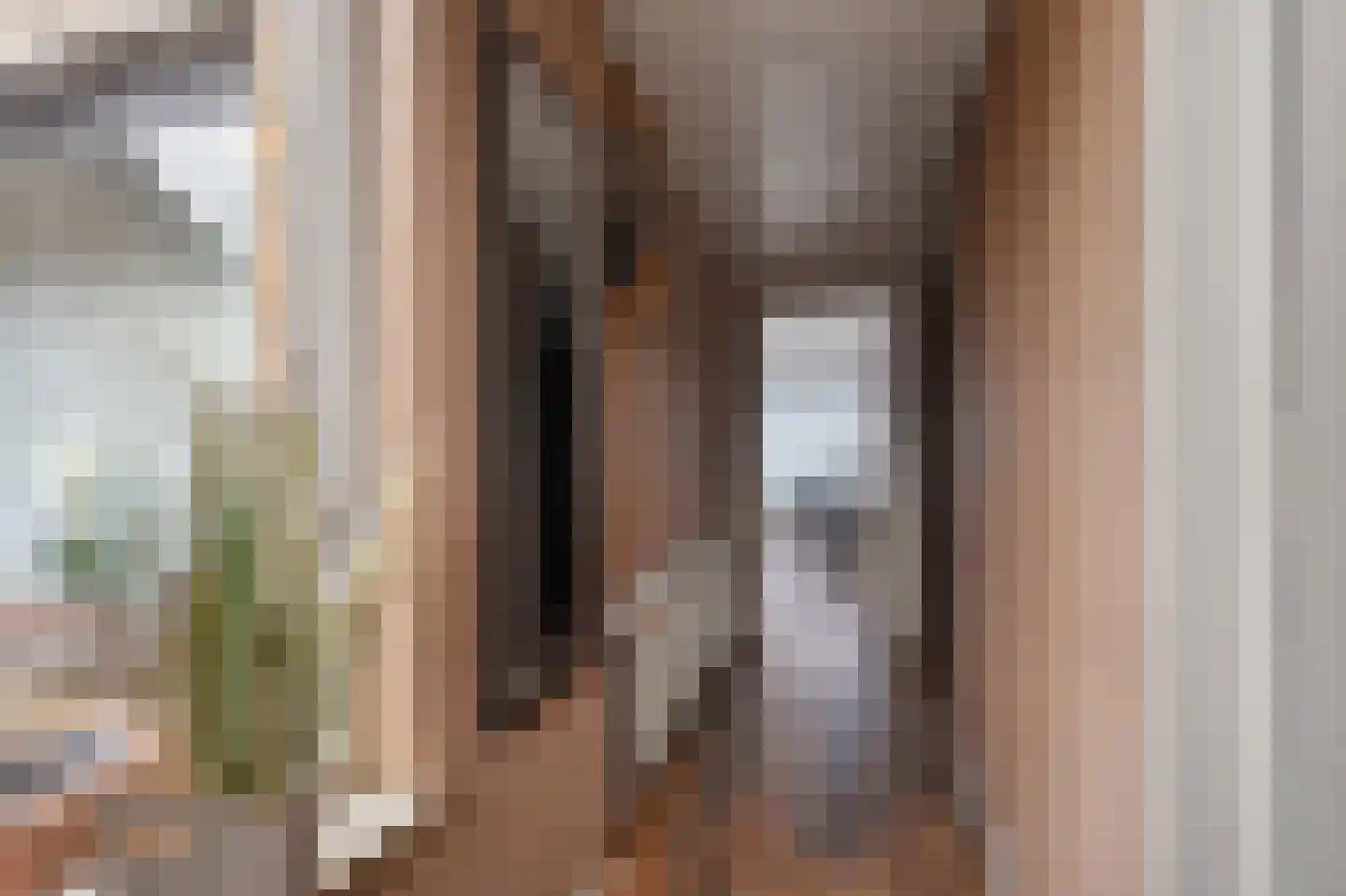 Anne Franklaan 8 Coevorden thumbnail 4