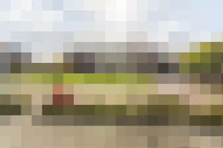 Anne Frankplein 3 A Rijen thumbnail 33