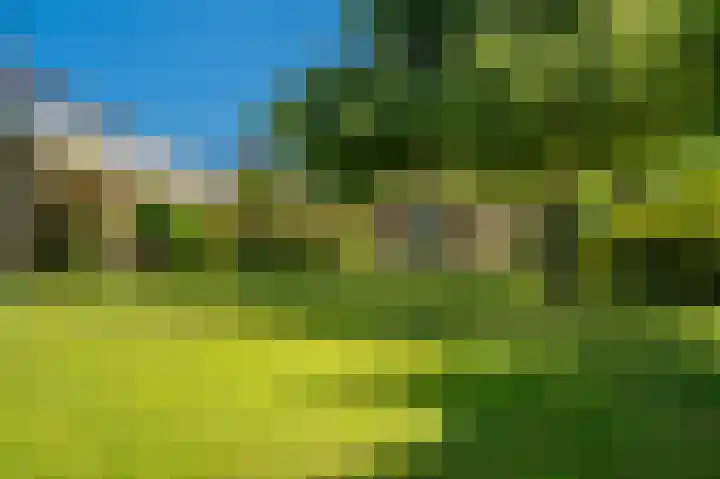Anne Frankstraat 1 Beerta thumbnail 45