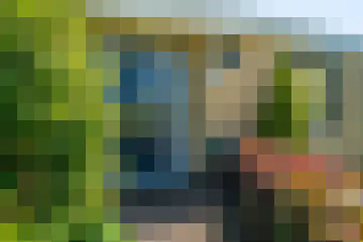 Anne Frankstraat 1 Beerta thumbnail 8
