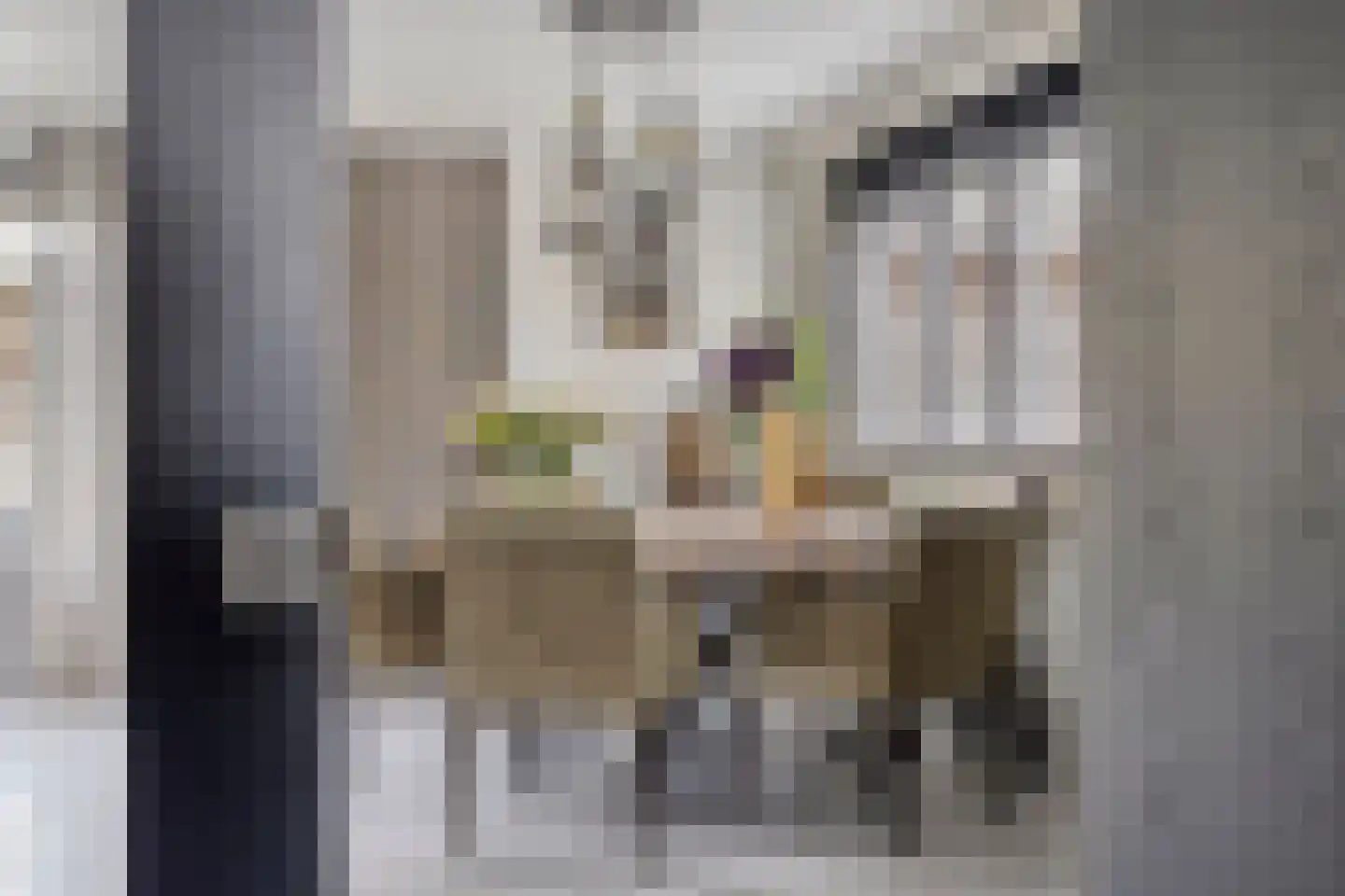 Anne Frankstraat 107 Spijkenisse thumbnail 12