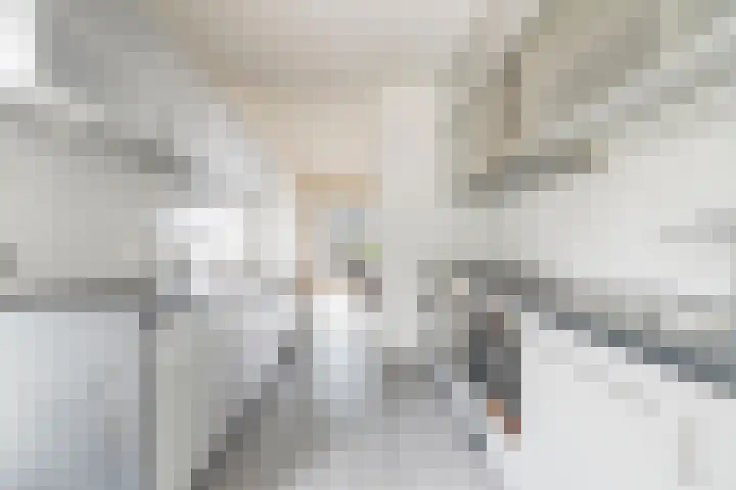 Anne Frankstraat 113 Amsterdam thumbnail 20
