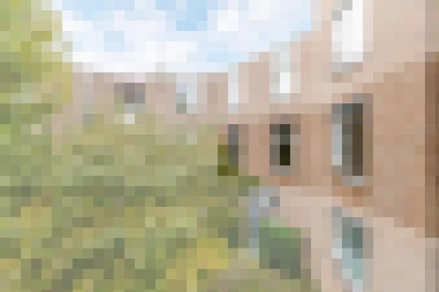 Anne Frankstraat 119 Venlo thumbnail 5