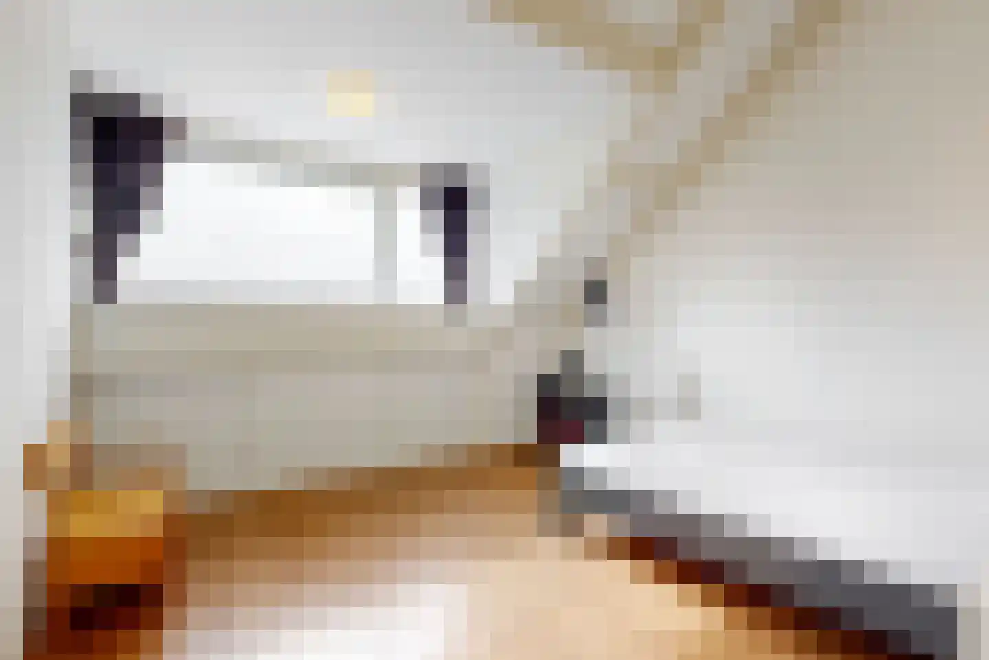 Anne Frankstraat 14 Kudelstaart thumbnail 23