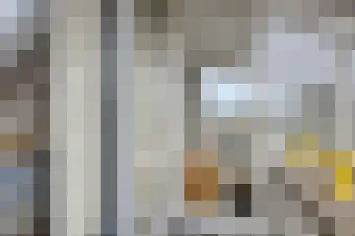Anne Frankstraat 2 Lisse thumbnail 41