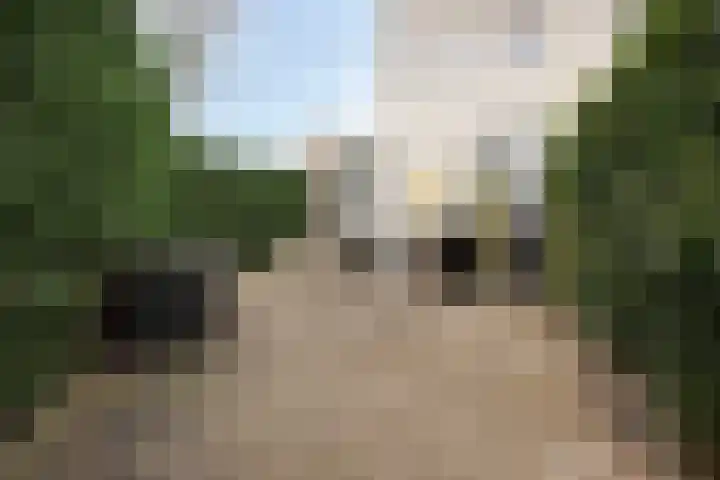 Anne Frankstraat 2 Lisse thumbnail 42