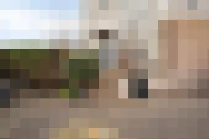 Anne Frankstraat 2 Lisse thumbnail 46